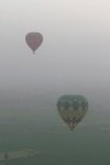 Couple Balloons