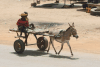 Donkey Cart